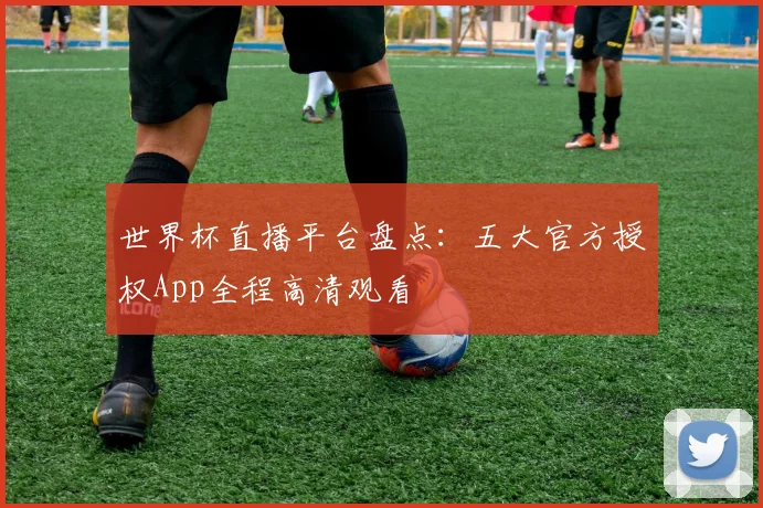世界杯直播平台盘点：五大官方授权App全程高清观看