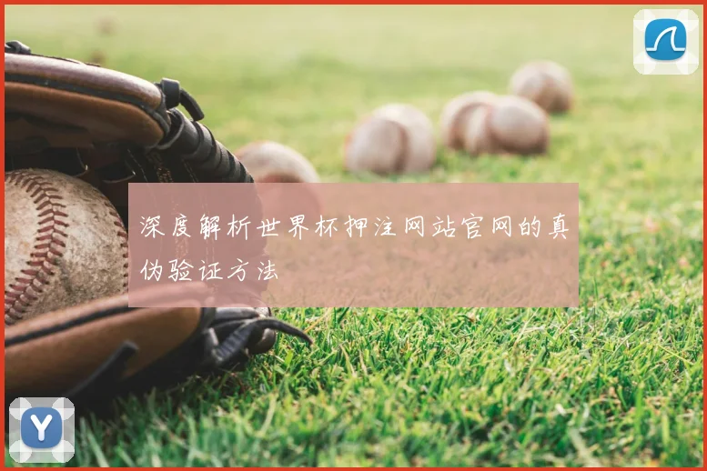深度解析世界杯押注网站官网的真伪验证方法
