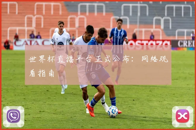 世界杯直播平台正式公布:网络观看指南