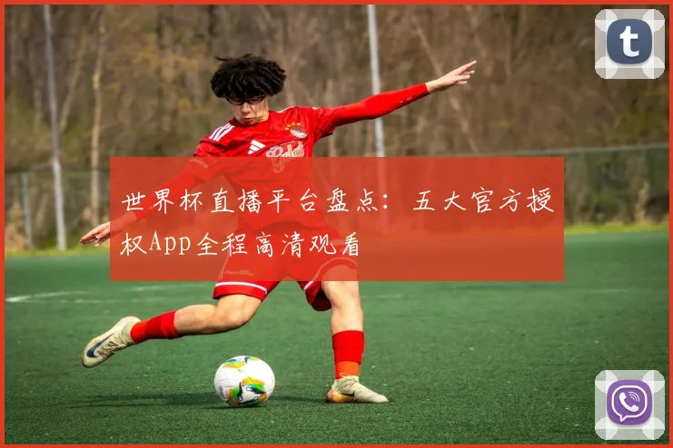 世界杯直播平台盘点：五大官方授权App全程高清观看