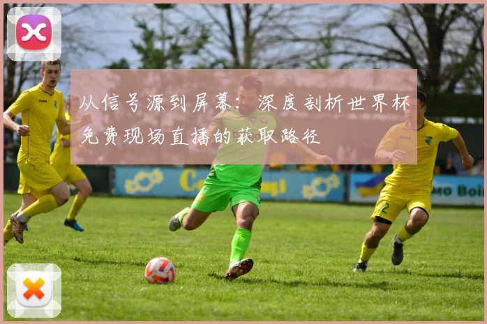 从信号源到屏幕:深度剖析世界杯免费现场直播的获取路径