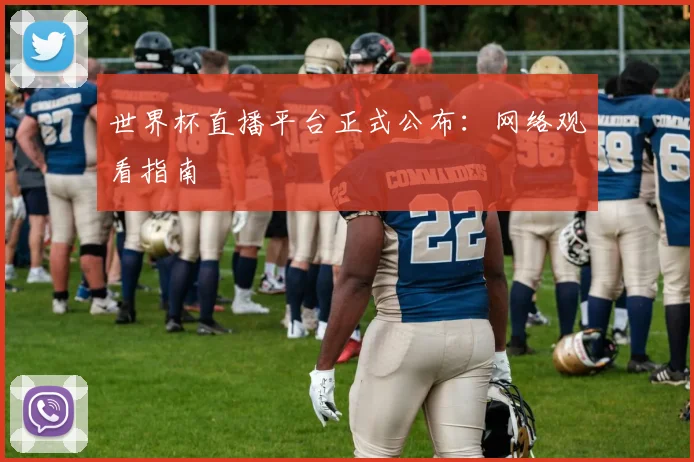 世界杯直播平台正式公布:网络观看指南