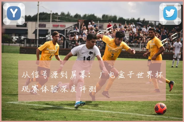 从信号源到屏幕：广电盒子世界杯观赛体验深度评测