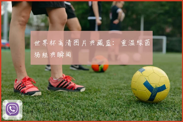 世界杯高清图片典藏蓝:重温绿茵场经典瞬间