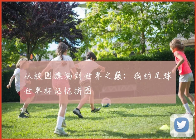 从校园操场到世界之巅:我的足球世界杯记忆拼图