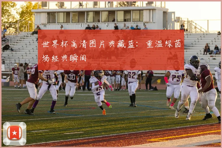 世界杯高清图片典藏蓝:重温绿茵场经典瞬间