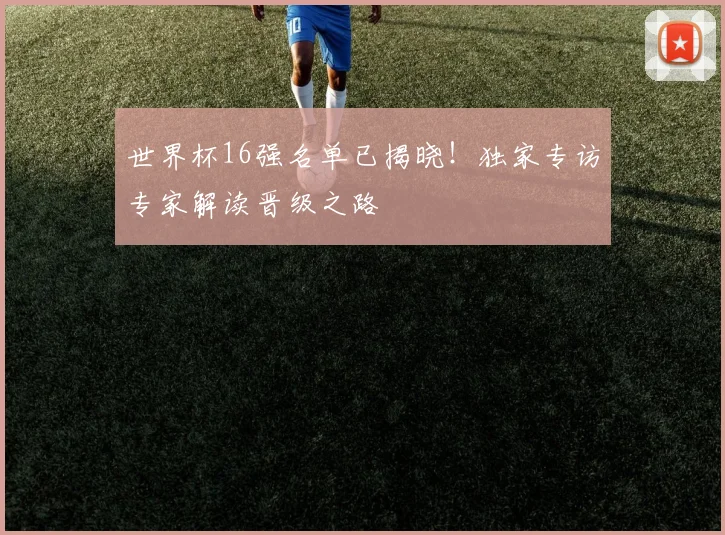 世界杯16强名单已揭晓!独家专访专家解读晋级之路