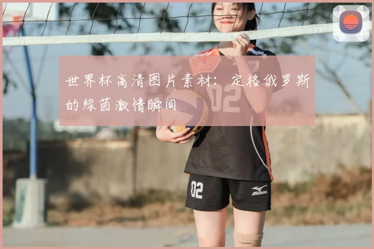 世界杯高清图片素材:定格俄罗斯的绿茵激情瞬间
