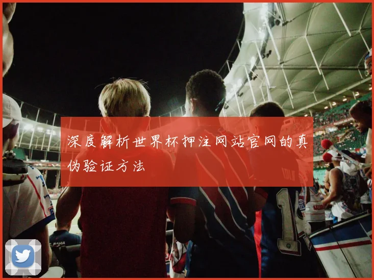 深度解析世界杯押注网站官网的真伪验证方法