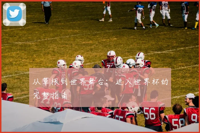 从草根到世界舞台：进入世界杯的完整指南