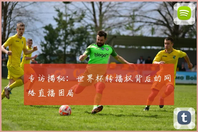 专访揭秘：世界杯转播权背后的网络直播困局