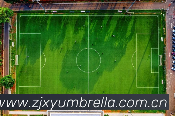未来规划